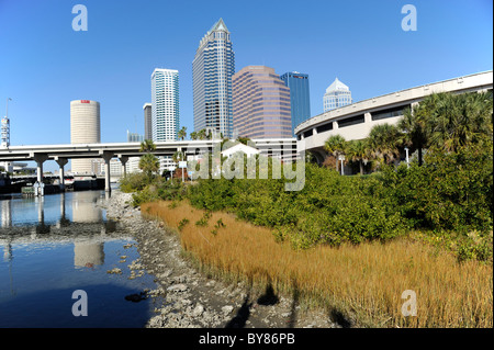 Tampa, en Floride, la restauration du littoral projet financé par le sud-ouest de la Floride et la restauration de l'eau Gestion de l'eau de surface Banque D'Images