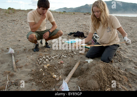 Excavation nid Banque D'Images