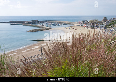 Vue sur Jardins Langmoor vers la plage et le quartier du port à Lyme Regis, dans le Dorset Banque D'Images