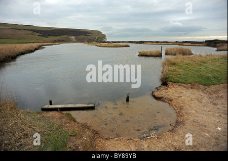 Cuckmere Haven est une zone de plaines de l'inondation dans la région de Sussex, où la rivière Cuckmere répond à la Manche Banque D'Images