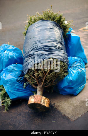 Arbre de Noël, jetés après Noël pour recyclage, Londres, Angleterre, Royaume-Uni, Europe Banque D'Images