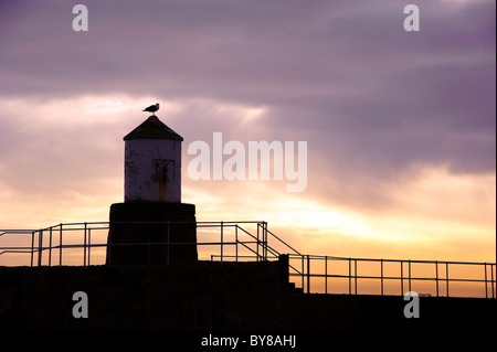 Pittenweem Harbour au coucher du soleil, Fife, Scotland, UK. Banque D'Images