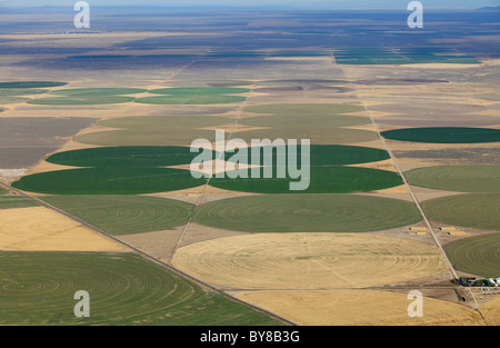 Une vue aérienne de l'agroglyphe créé dans les champs agricoles par sprinkleurs à pivot central. Banque D'Images