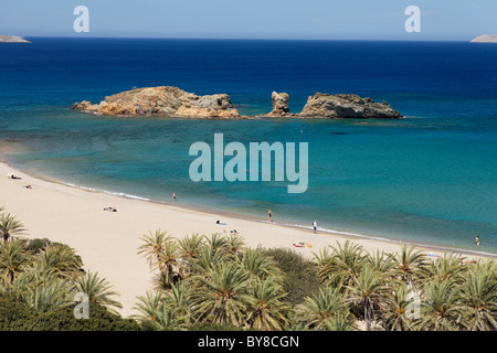 Plage de palmiers de Vai (la plus grande forêt de palmiers naturels en Europe), Vai, préfecture de Lassithi, Crète, Grèce Banque D'Images
