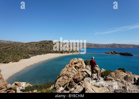 Plage de palmiers de Vai (la plus grande forêt de palmiers naturels en Europe), Vai, préfecture de Lassithi, Crète, Grèce Banque D'Images