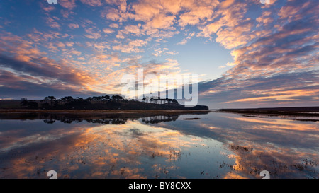 La loutre de rivière à Budleigh Salterton à marée haute juste après le lever du soleil Banque D'Images