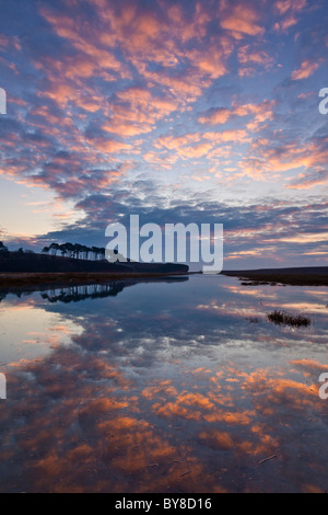 La loutre de rivière à Budleigh Salterton à marée haute juste après le lever du soleil Banque D'Images