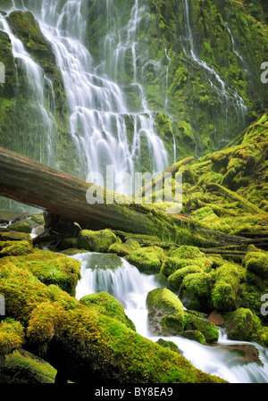 Close up de chutes Proxy. Trois Sœurs Désert, Oregon Banque D'Images