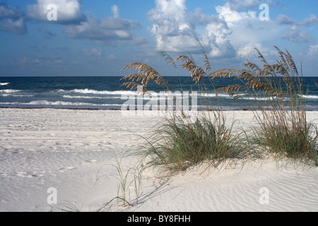 Sea oats et surfez à Madeira Beach en Floride sur la côte du golfe de la Floride. Banque D'Images