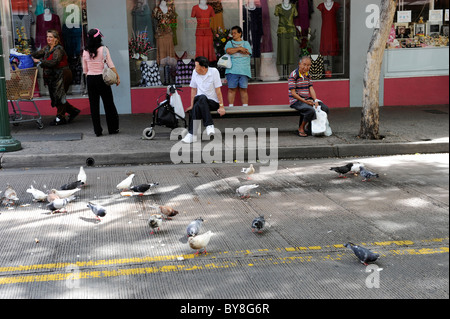 Les pigeons et les oiseaux mangent la nourriture dans Honolulu Oahu Hawaii du quartier chinois de la rue de l'Océan Pacifique Banque D'Images