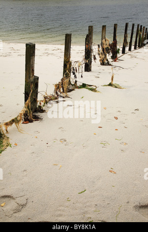 Plage de sable blanc Morar, Ecosse également connu sous le nom de Silver Sands Banque D'Images