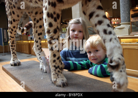 L'Oxford University Museum of Natural History Banque D'Images