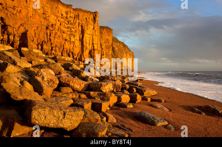 Falaise jurassique formation à Burton Bradstock sur la côte du Dorset, Angleterre du Sud patrimoine Banque D'Images