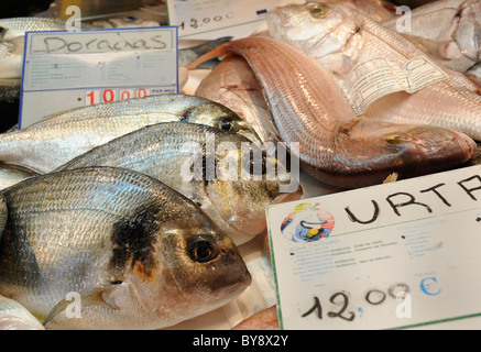 Daurades sont illustrés dans un marché aux poissons dans la région de Jerez de la Frontera, au sud de l'Espagne, le jeudi, 23 Décembre, 2010. Banque D'Images