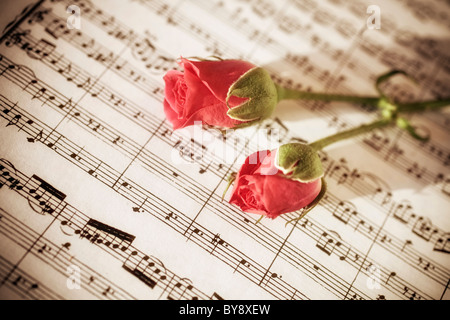 Deux roses sur des feuilles de notes de musique close up Banque D'Images