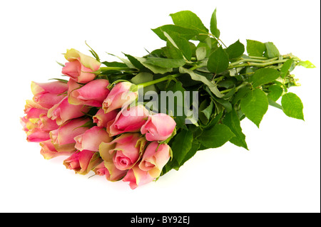 Bouquet de roses rose isolé sur fond blanc Banque D'Images