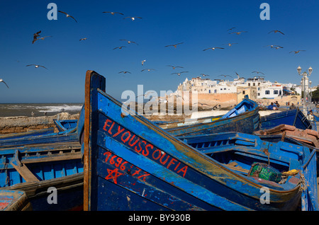 Bateaux de pêche bleu et des mouettes de remparts d'Essaouira au Maroc et ciel bleu Banque D'Images