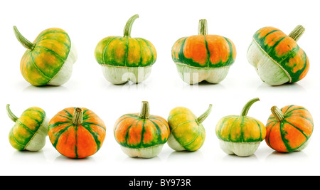 Ensemble de gourdes et de légumes mûrs citrouille hybride isolated on White Banque D'Images