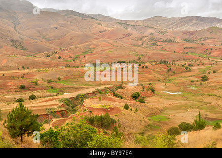 Paysage de rizières en terrasses dans les environs de Fianarantsoa au Sud de Madagascar. Banque D'Images