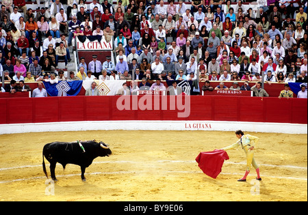 Matador bull teasing avec un chiffon rouge, l'arène de corrida à Sanlúcar de Barrameda, Costa de la Luz, Andalousie, Espagne, Europe Banque D'Images