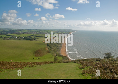 Littoral du Dorset impressionnante à l'est de Thorncombe Beacon, avec la bouche et l'Eype brise-lames à West Bay, dans la distance Banque D'Images