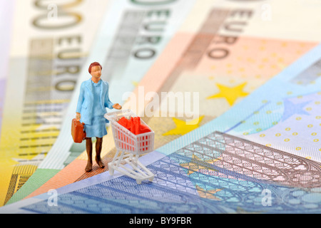 Fan de divers billets avec une miniature la figure d'une femme avec un panier, image symbolique pour le shopping, : Banque D'Images