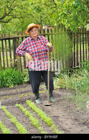 Senior woman gardening - binage des semis de carottes Banque D'Images