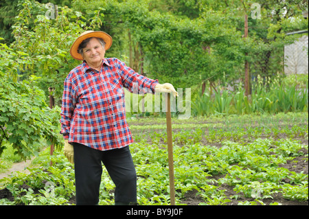 Senior woman gardening - binage champ de pommes de terre Banque D'Images