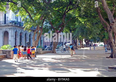 Boulevard pittoresque à La Havane avec des enfants jouant Banque D'Images