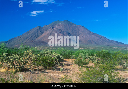 Volcano Tres Virgenes, près de San Ignacio, Baja California, Mexique Banque D'Images