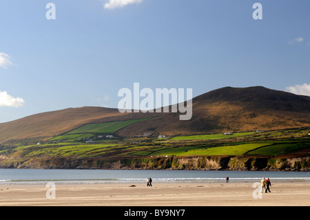 Vue vers les falaises appelé Red Cliff à partir de la plage Inch Blue Skies Péninsule de Dingle, comté de Kerry Irlande langue de sable plage de sable Banque D'Images