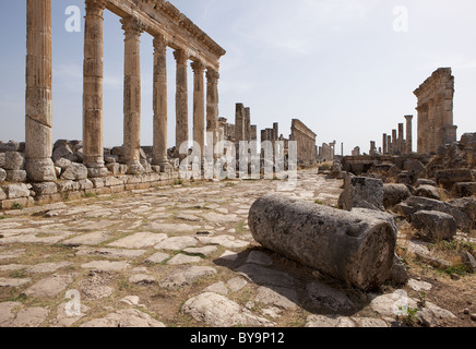 La rue principale d'Apamée, la Syrie. Elle est de 2km et avait à l'origine des colonnes 1200 Banque D'Images