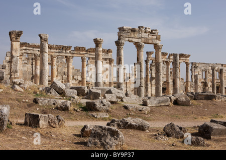 Colonnes dans les ruines d'Apamée. Le plus grand site classique de la Syrie Banque D'Images