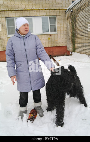 Chien Terrier Noir Russe avec la maîtresse dans la rue, l'hiver dans la région de Moscou, Russie Banque D'Images