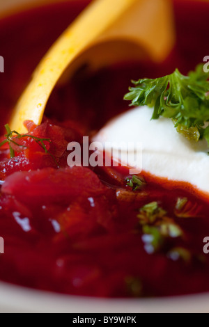 Bortsch, une ukrainienne ou russe traditionnelle soupe de betteraves à la crème et le persil. Banque D'Images