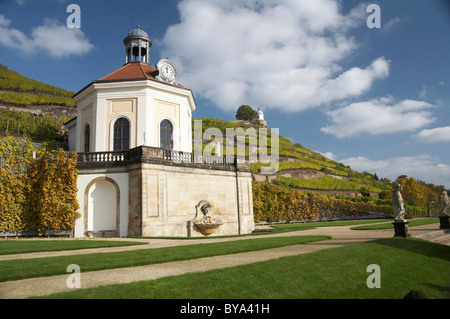 Belvédère de Wackerbarth château dans le vignoble avec Jacobstein, automne, Radebeul, Saxe, Allemagne, Europe Banque D'Images