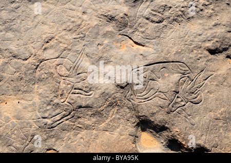 Rock célèbre gravure de la gazelle de couchage, l'art rupestre néolithique du Tinterhert, Didier Vallée, le Tassili n'Ajjer National Park Banque D'Images