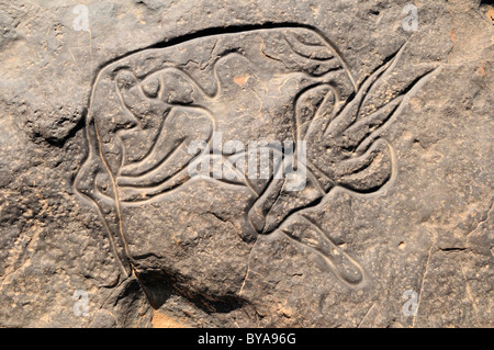 Rock célèbre gravure de la gazelle de couchage, l'art rupestre néolithique du Tinterhert, Didier Vallée, le Tassili n'Ajjer National Park Banque D'Images