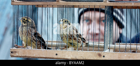 Ovsyanki Silent Souls Année : 2010 Réalisateur : la Russie Aleksei Fedorchenko Igor Sergeev Banque D'Images