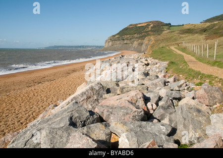 Fournir les moyens de défense de la mer des rochers le long de la plage de galets à Seatown, Dorset, avec les hautes falaises du Cap d'or dans la distance Banque D'Images