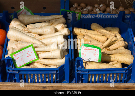 Les racines de persil et les panais sur le marché alimentaire Viktualienmarkt, Altstadt-Lehel district, Munich, Bavaria, Germany, Europe Banque D'Images