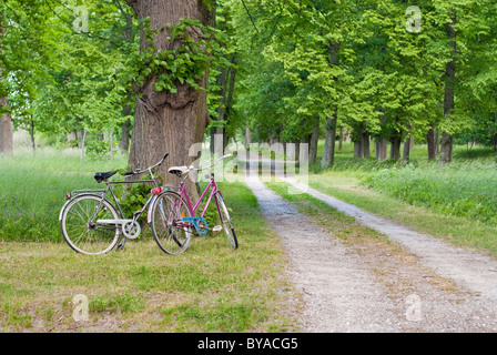 Deux vélos garés par une route de gravier, Suède Banque D'Images