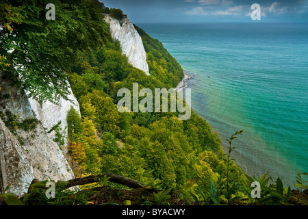 Koenigsstuhl, Président du Roi, les roches du crétacé, falaises de craie, le Parc National de Jasmund, Rügen, Mecklembourg-Poméranie-Occidentale Banque D'Images