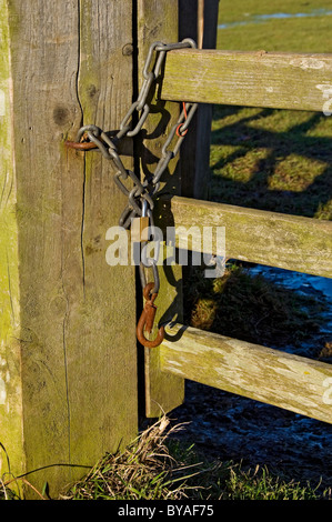 Accès à un champ de fermiers verrouillé avec cadenas et chaînes attachées à la porte de ferme en bois Fermer North Yorkshire Angleterre Royaume-Uni Grande-Bretagne Banque D'Images