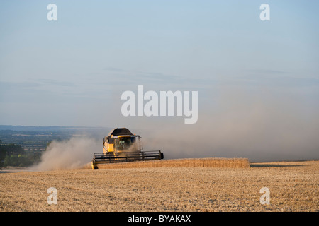 New Holland CX880 moissonneuse batteuse au travail dans l'Oxfordshire en Angleterre. JMH4730 Banque D'Images