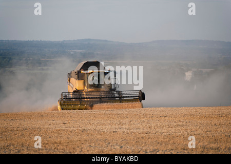 New Holland CX880 moissonneuse batteuse au travail dans l'Oxfordshire en Angleterre. JMH4732 Banque D'Images