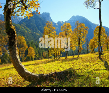 Au Tyrol : Grosser Ahornboden - Banque D'Images