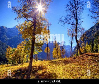 Au Tyrol : Grosser Ahornboden - Banque D'Images