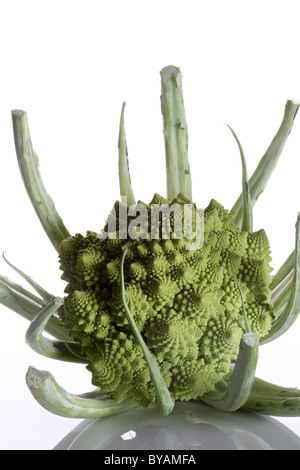 Chou-fleur Romanesco romain Banque D'Images