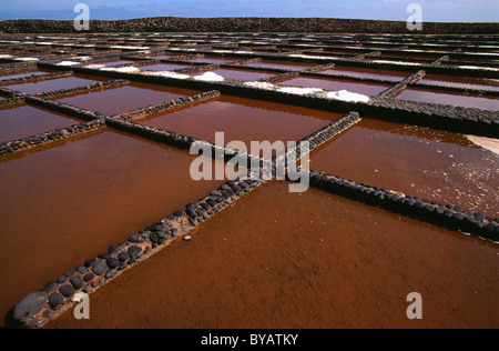 Las Salinas del Carmen, Fuerteventura, Îles Canaries, Espagne Banque D'Images